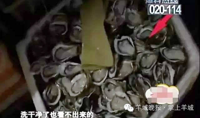 assembled oyster in Guangzhou